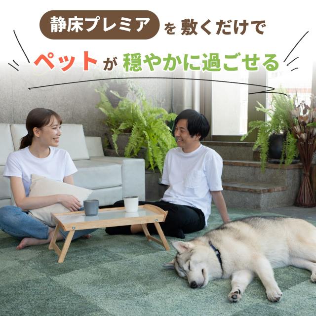 防音カーペット 防音マット 静床プレミア タイルカーペット 50cm×50cm 約10畳用 58枚セット 防音シート 防ダニ 防炎 ペット 騒音 騒音対策 足音 洗い可 極厚 足音 子供 省エネ ピアノ 楽器_8