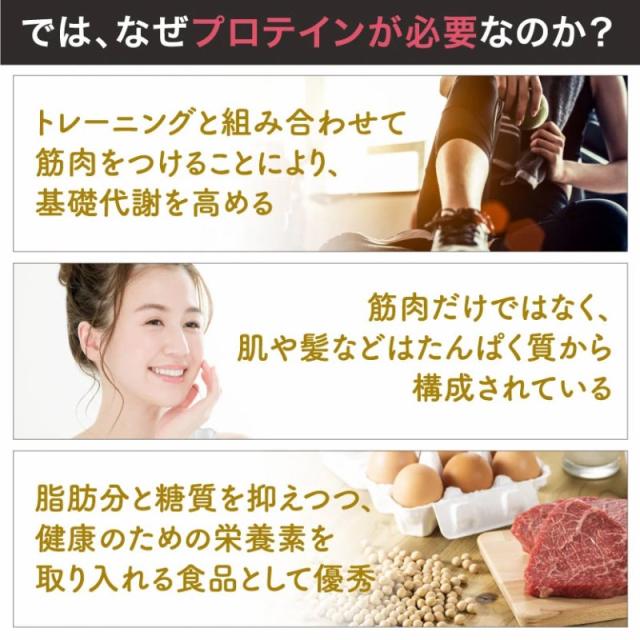 新リニューアル アルプロン ソイプロテイン チョコレート 900g 大豆プロテイン チョコ 1kg からのリニューアル の通販はau Pay マーケット スポーツショップ シープウイング