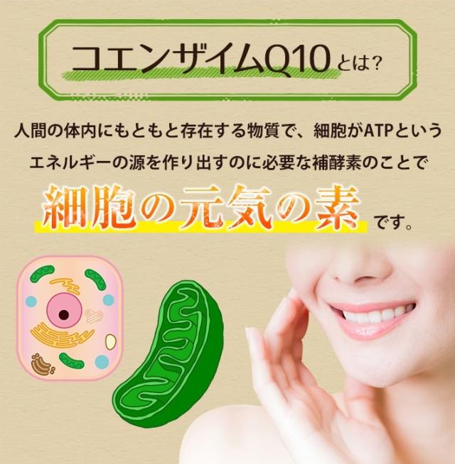 【3個セット】ASTALIVE アスタライブ 還元型コエンザイムQ10 60粒 30日分 プレゼント 対応可 | カネカ社製 還元型 コエンザイムQ10 配合 コエンザイム q10 coq10 黒コショウエキス バイオペリン 大豆レシチン 国産 100mg サプリメント サプリ こえんざいむ ダイレクト_2