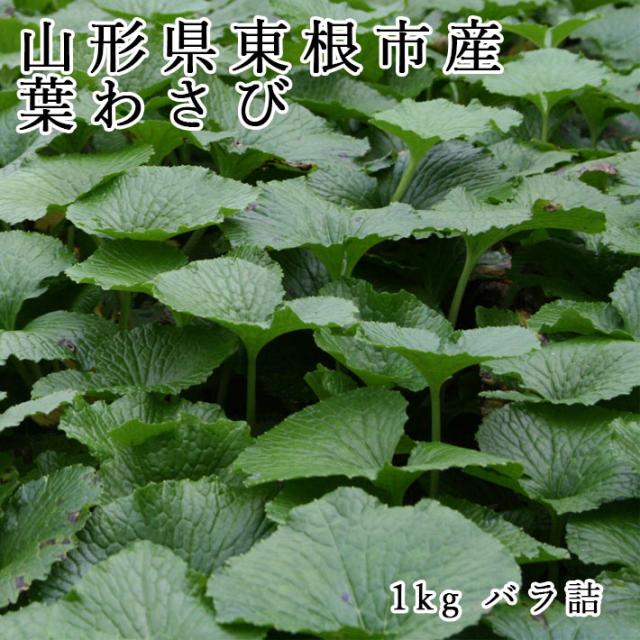 山形県産 葉わさび 1kgバラ詰 期間限定商品 送料無料 クール便