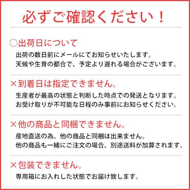 お歳暮 フルーツ 山形県産 ラフランス食べ切りセット（秀Ｌ５～６個）【送料無料】の通販はau PAY マーケット - まるごと山形