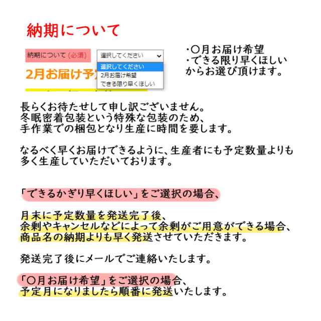 令和5年産 長期備蓄米 米10kg 無洗米 はえぬき 夢味米 2kgx5 送料無料