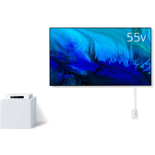 現状品】パナソニック 55V型 4K 有機ELテレビ 957301013 パナソニック