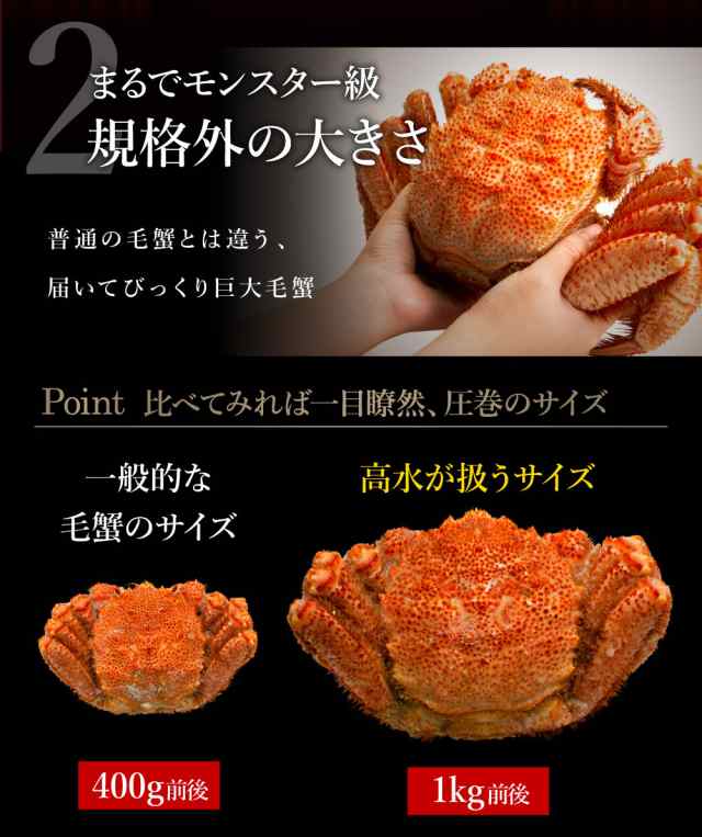 当店人気商品 最高ランク 超特大 ジャンボ毛蟹 1kg 1尾 堅蟹 毛ガニ 毛がに 毛蟹 かに カニ 北海道 ギフト ボイル 姿 お歳暮 かにの通販はau Pay マーケット さっぽろ朝市 高水