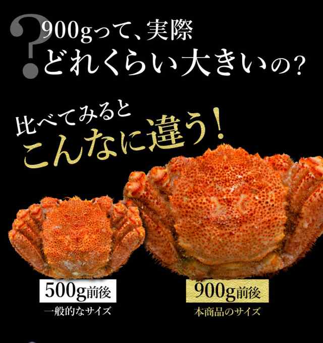 還元祭限定特価 1000円off 特大 毛ガニ 900g 2尾 セット 送料無料 堅蟹 毛蟹 毛がに カニ かに 蟹 ボイル 姿 内祝 ギフト 最高ラの通販はau Pay マーケット さっぽろ朝市 高水