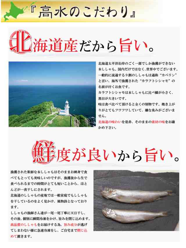 本ししゃも 子持ち 10尾 干物 プレゼント ししゃも シシャモ 海鮮ギフト 海鮮 訳あり じゃない big_dr 敬老の日 お歳暮 旬 復興  復興支の通販はau PAY マーケット - さっぽろ朝市 高水