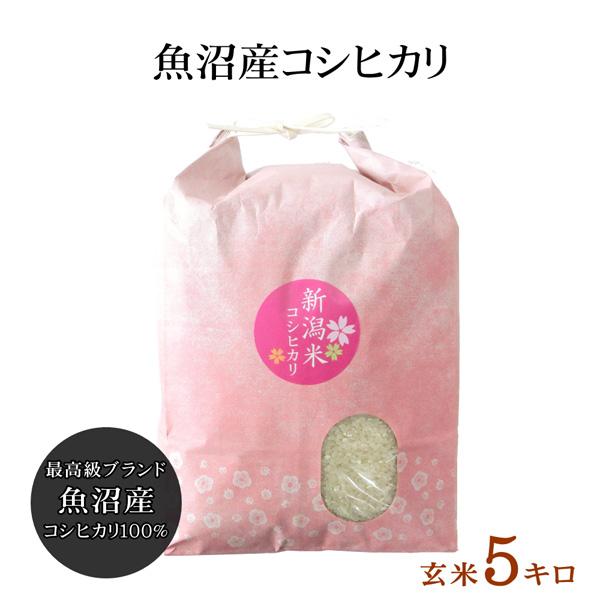 南魚沼産 コシヒカリ 玄米 5kg 令和6年産 新潟 魚沼産こしひかり 南魚沼産 コシヒカリ 玄米 5kg 令和6年産 新潟 魚沼産こしひかり