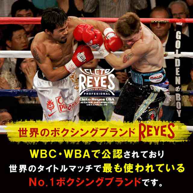 REYES レイジェス reyes ボクシング ファウルカップ 本革 ブラック