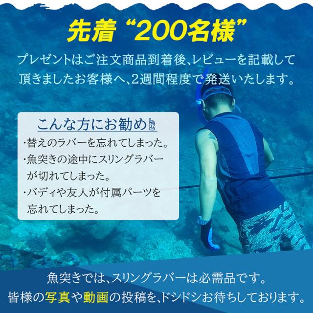 スピアフィッシング  セット スピアフィッシング セット 【公式通販】