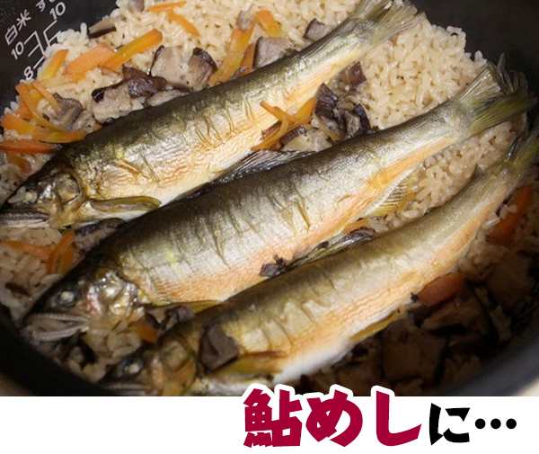 3匹セット/1匹約130g〜/個包装の通販はau　PAY　マーケット　森徳蔵商店　鮎（冷凍）Lサイズ　PAY　マーケット－通販サイト　四万十川天然　au