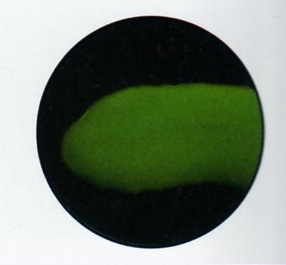 チョコレート用　色粉　 グリーン（緑）色　200ｇ　業務用　フランスPCB社＊入荷待ち・お急ぎの場合はお問い合わせください の通販は 6,623円