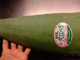 フレッシュ 愛知県産 アロエベラ 食用 大の通販はau Pay マーケット 輸入食材マルシェ フレッシュ 愛知県産 アロエベラ 食用 大の通販はau Pay マーケット 輸入食材マルシェ