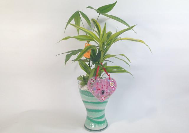 送料無料 ハイドロカルチャー スパイラルグラスl カラーサンド ３種寄せ植え ハートのの通販はau Wowma ココロラショップ