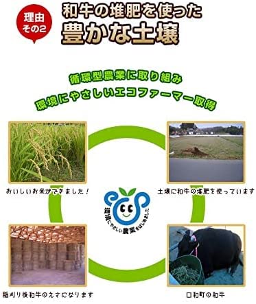 お米 10kg (5kg×2) 令和7年産 白米 広島県産 ファーム永田の コシヒカリ 安心栽培 送料無料 （※北海道・沖縄・離島を除く）_5