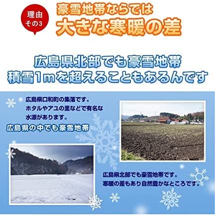 お米 10kg (5kg×2) 令和7年産 白米 広島県産 ファーム永田の コシヒカリ 安心栽培 送料無料 （※北海道・沖縄・離島を除く）_6