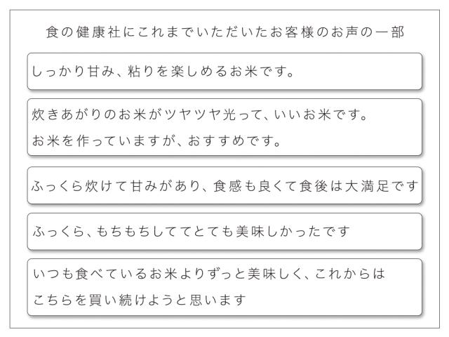 お米 10kg (5kg×2) 令和7年産 白米 広島県産 ファーム永田の コシヒカリ 安心栽培 送料無料 （※北海道・沖縄・離島を除く）_3