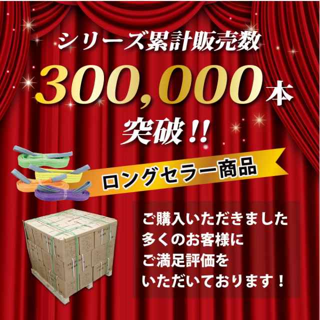 経典 スリング スリングベルト ナイロンスリング ベルトスリング 10本セット 幅 75mm 2m 使用警告線付き 業務用 吊り具 送料無料  discoversvg.com