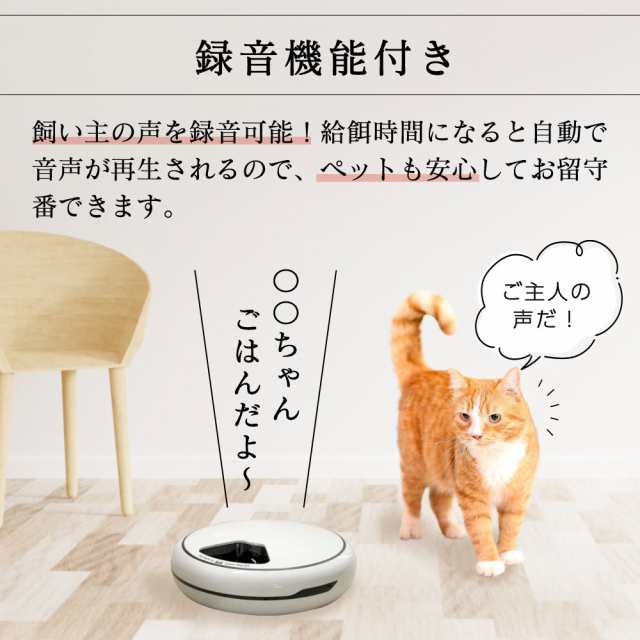 自動給餌器 給餌器 猫 自動 タイマー 電池 USB 4回分 給餌機 犬