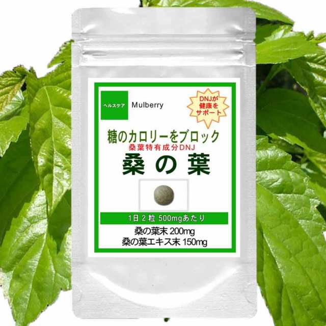 お徳用 桑の葉 540粒(約9ヶ月分) オススメ サプリ 【送料無料】