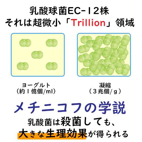 腸内パトロール 乳酸菌 Ec 12 90粒 約3ヶ月分 乳酸菌 酵素 ダイエット サプリ 酵素 強力 レビューを書いてオマケget の通販はau Pay マーケット 冬虫夏草とサプリの専門店 ギャバ太郎ショップ