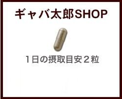 青森産ふくちニンニク六片種 発酵黒にんにく お徳用180粒(約9ヶ月分) オススメ サプリ 【送料無料】