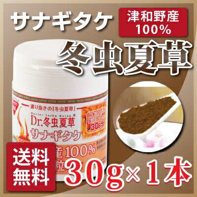 津和野産 100%サナギタケ冬虫夏草 (粉末30g) コルジセピン βグルカン アミノ酸含有 【送料無料】