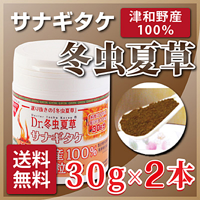 冬虫夏草 サプリメント 津和野産 【送料無料】 サナギタケ冬虫夏草 粉末 お徳用２本セット (30g×2本) 産官学連携共同研究による特許製法