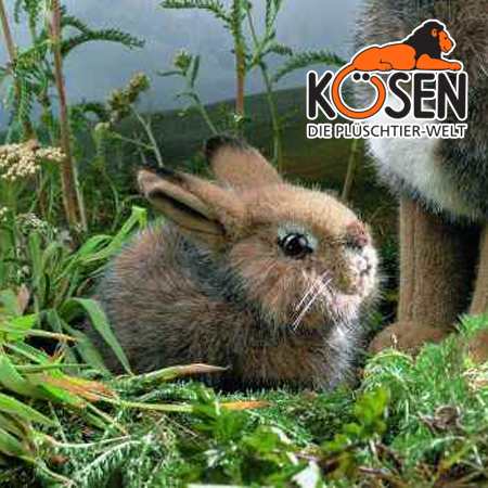 Koesen ケーセン社 野うさぎの子 5090 ドイツ Koesen Kosen ケーセン社 の動物のぬいぐるみ 愛らしい表情の兎 うさぎ ウサギ のの通販はau Pay マーケット 木のおもちゃ ユーロバス