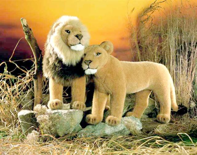 ドイツ製 KOSEN ケーセン ライオン オスメス セット ぬいぐるみ