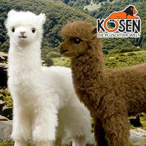 KOESEN ケーセン社 アルパカ 〜ドイツ・KOESEN/KOSEN（ケーセン社）の動物のぬいぐるみ。愛らしい表情のアルパカのぬいぐるみです。出産