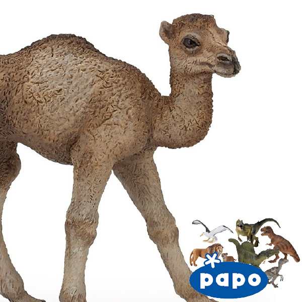 メール便可 Papo パポ社 ヒトコブラクダの子ども フランス Papoのwild Animalsシリーズ 野生の動物フィギュア の通販はau Pay マーケット 木のおもちゃ ユーロバス