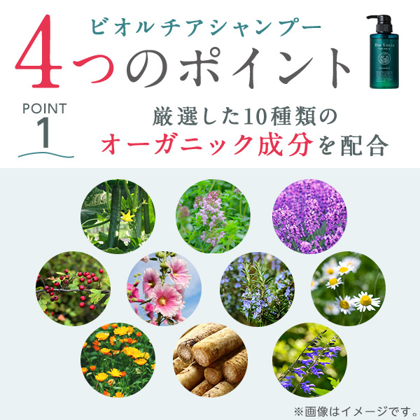 公式】ビオルチア｜【全額返金保証】送料無料 シャンプー