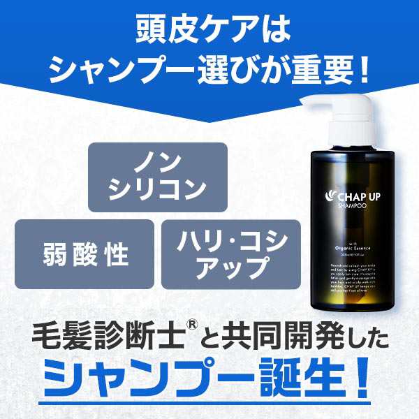 安心の国内正規品 チャップアップ 育毛ローション 120ml 2本セット