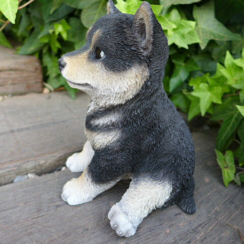 犬の置物 黒柴犬 子犬 ｂｋ３９ｑｙ いぬ イヌ 動物 オーナメント ガーデン インテリア 雑貨 置物 庭 ガーデンマスコット の通販はau Pay マーケット わくわくガーデン