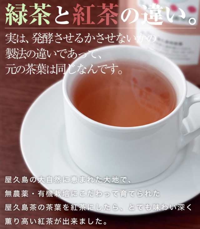 屋久島紅茶リーフティー（80g ）【 無農薬 有機栽培 】 [M便 1/2]の通販はau PAY マーケット - 屋久島物産展