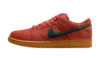 シューズ スニーカー ナイキ Nike SB Dunk Low Pro PRM Burnt Sunrise/Vintage