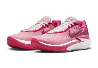 バスケットシューズ バッシュ ナイキ Nike Air Zoom G.T. Cut 2