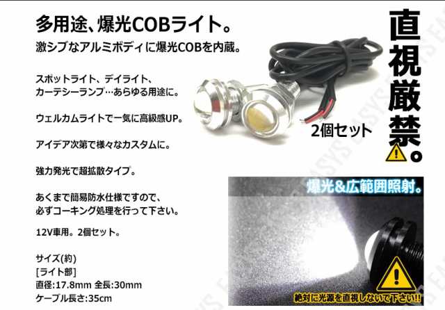 イーグルアイ Led スポットライト 2個セット Cob ボルト型 デイライト フォグ カーテシー 外装の通販はau Pay マーケット Rebias