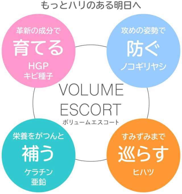 ボリュームエスコート 送料無料 VOLUME ESCORT サプリメント