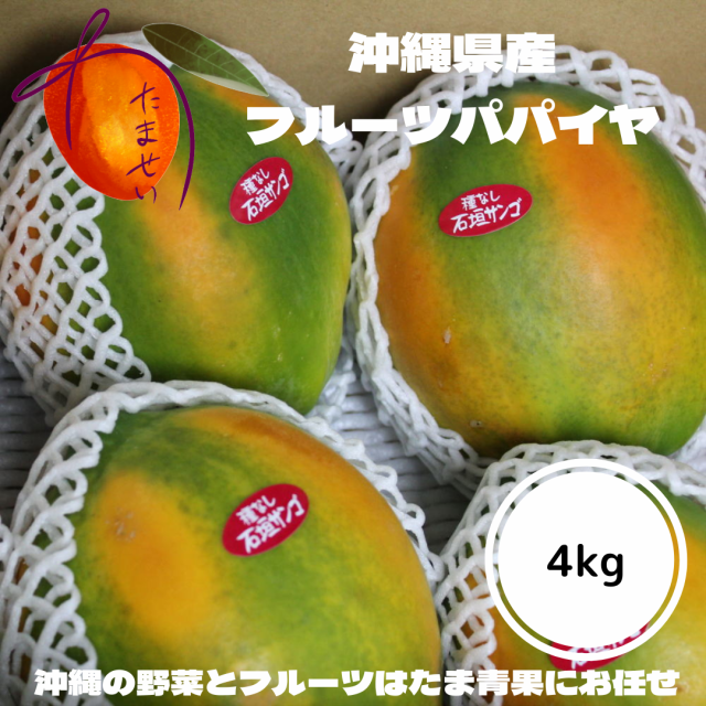 マクアウリ約4kg  沖縄産