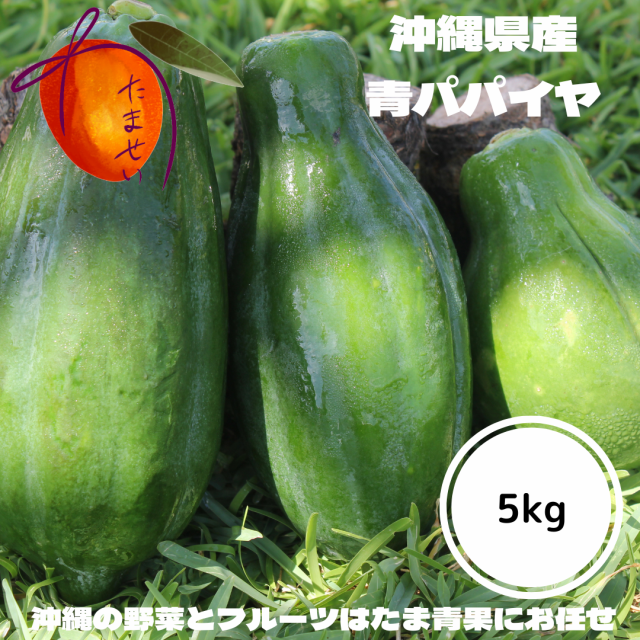 青パパイヤ5kg - 野菜