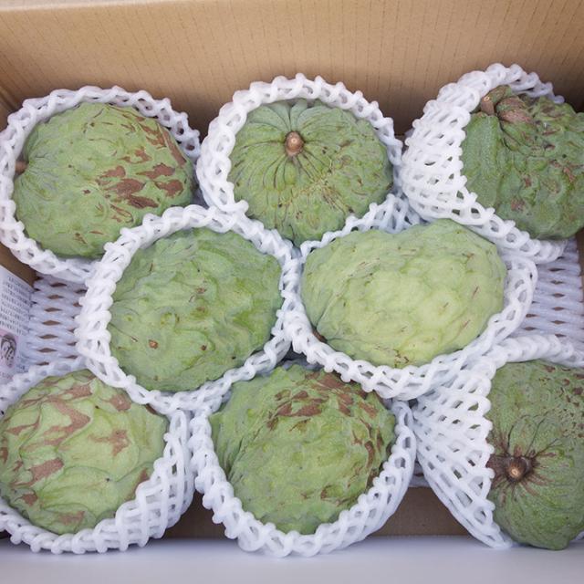 アテモヤ 優品 2kg   沖縄県産　発送11月〜3月の通販は 5,681円