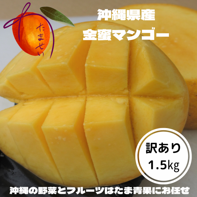 【先行ご予約受付中】沖縄県産　金蜜マンゴー ≪訳あり≫1.5kg（発送時期7月下旬〜9月）新種稀少マンゴー　｜au PAY マーケット