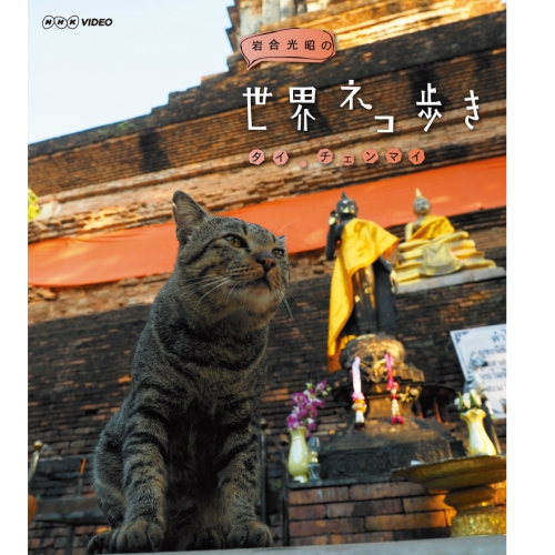 岩合光昭の世界ネコ歩き　タイ・チェンマイ ブルーレイ NHKDVD 公式