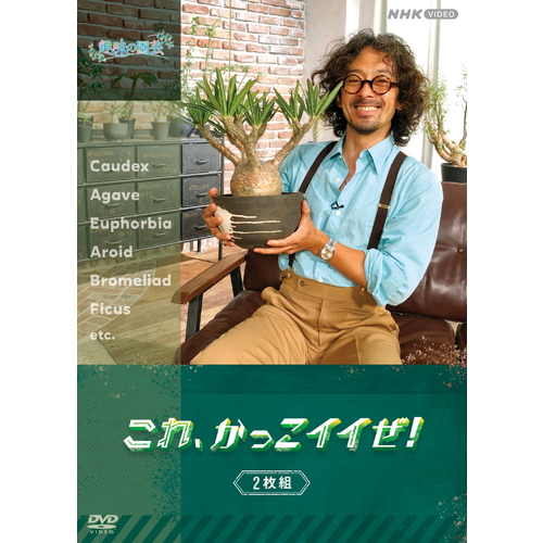 Search for my roots 斎藤工のプライベートジャーニー 西安編 Search for my roots 斎藤工のプライベートジャーニー 西安編