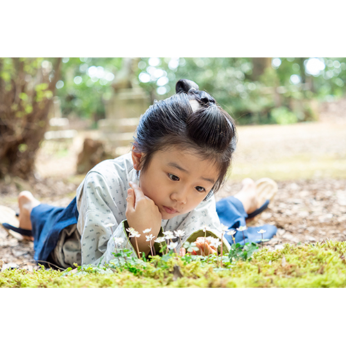 連続テレビ小説 らんまん 完全版 ブルーレイBOX1〈4枚組〉 Amazon.co.jp: 連続テレビ小説 らんまん 完全版 ブルーレイ BOX1