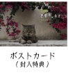 岩合光昭の世界ネコ歩き 第5弾 ブルーレイ 全3枚セット NHKDVD 公式_1