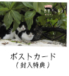 岩合光昭の世界ネコ歩き 第5弾 ブルーレイ 全3枚セット NHKDVD 公式_2