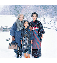 おしん DVD 完全版 31枚セット 中国語字幕 阿信 完整版 NHK おしん DVD 完全版 31枚セット 中国語字幕 阿信 完整版 NHK