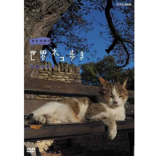 岩合光昭の世界ネコ歩き 田園の南仏 DVD NHKDVD 公式